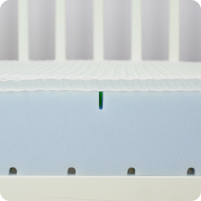 twarda-krawedzifikusny-sen-air